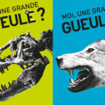 Museum des Sciences Naturelles