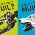 Museum des Sciences Naturelles